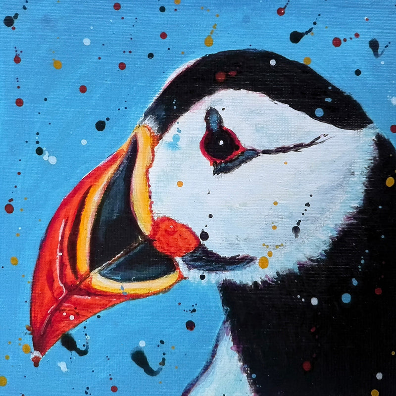 Blue Puffin