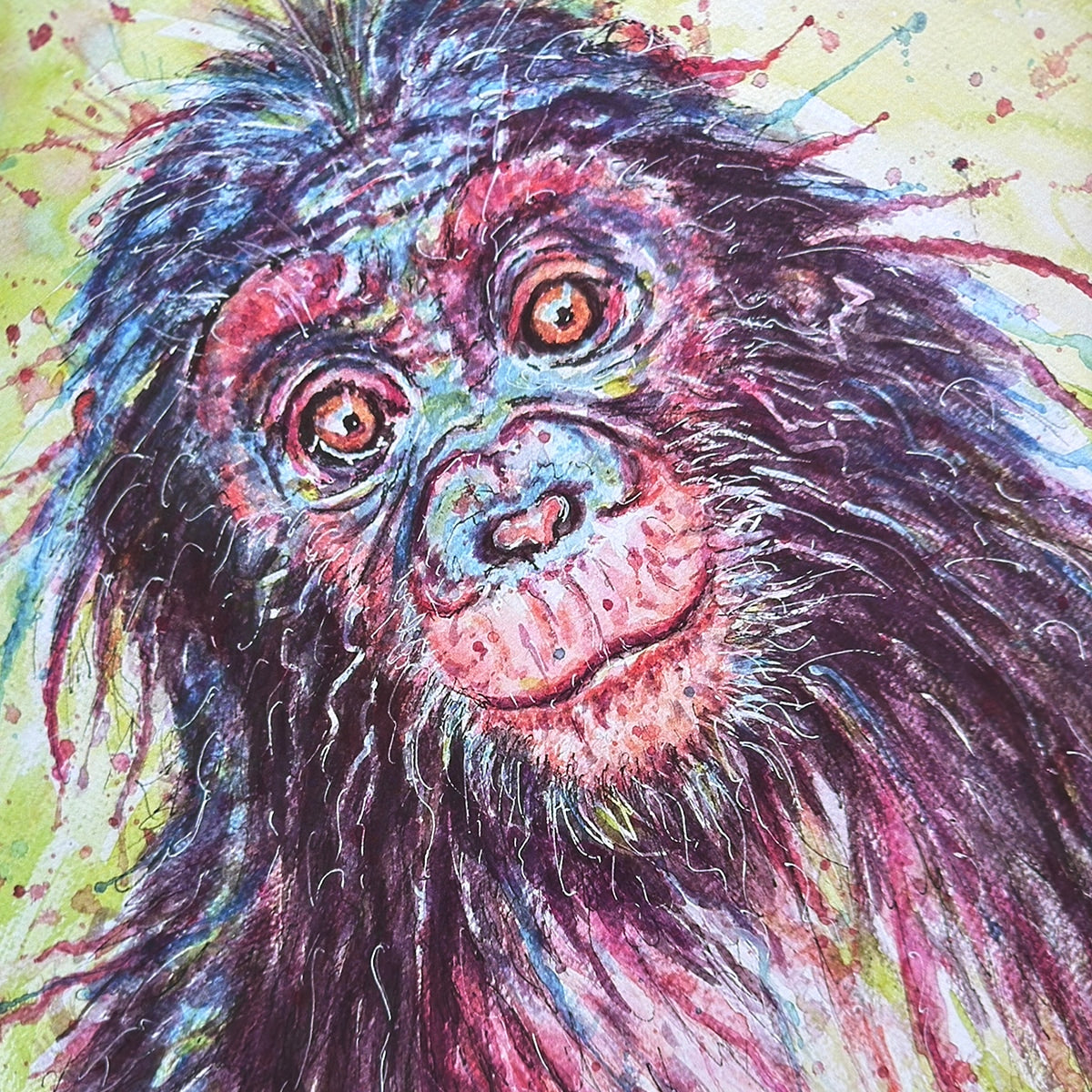 Cheeky Chimp