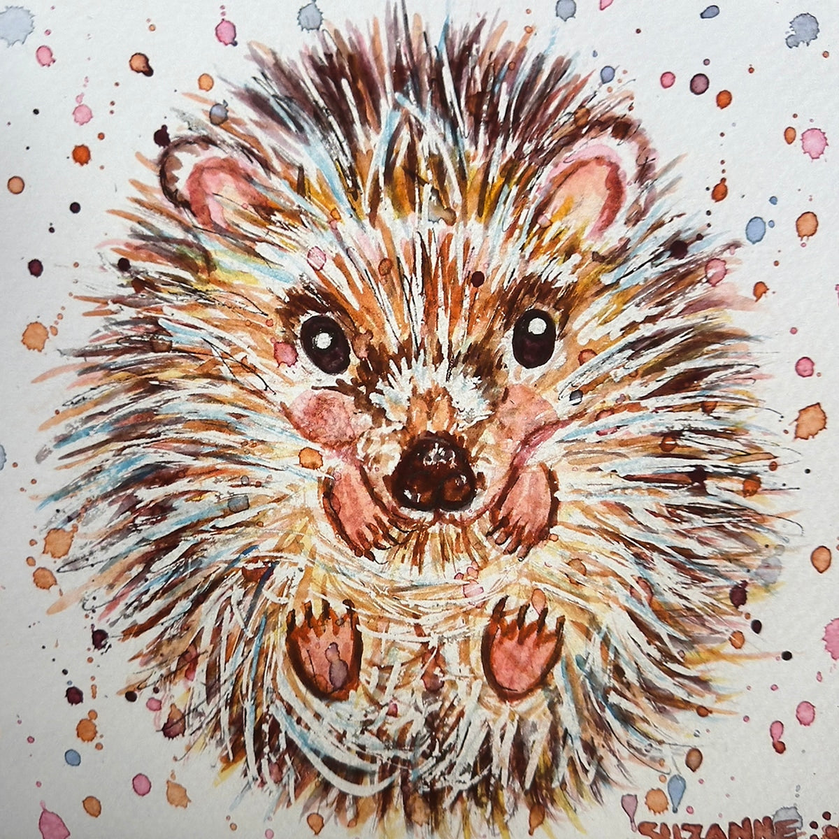 Hedgehog
