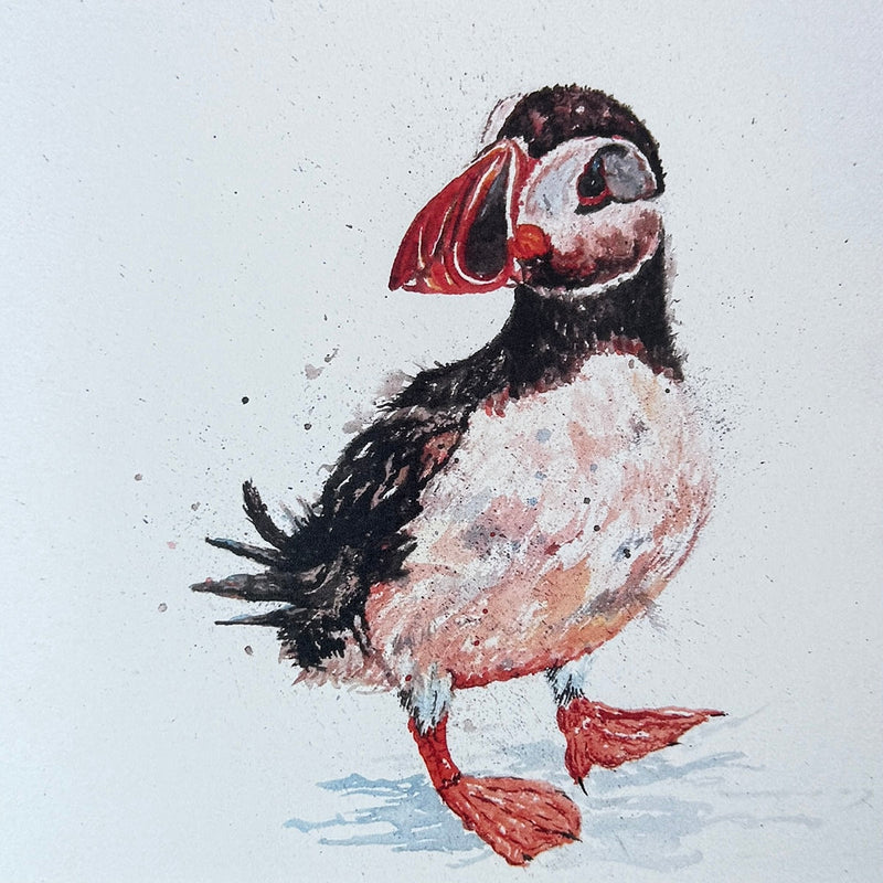 Puffin