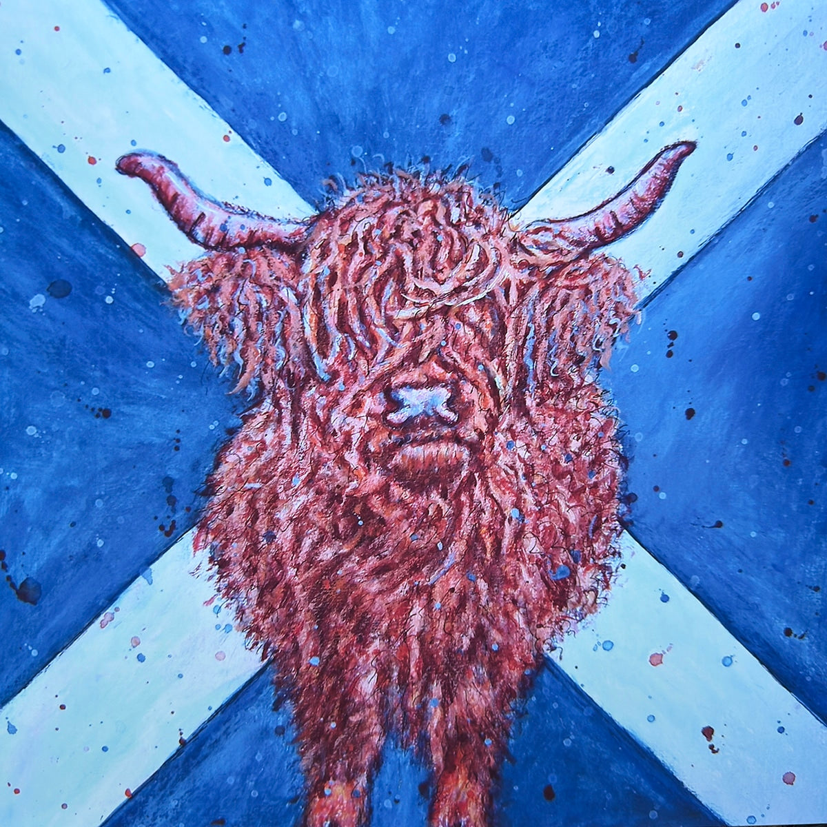 Saltire Cow