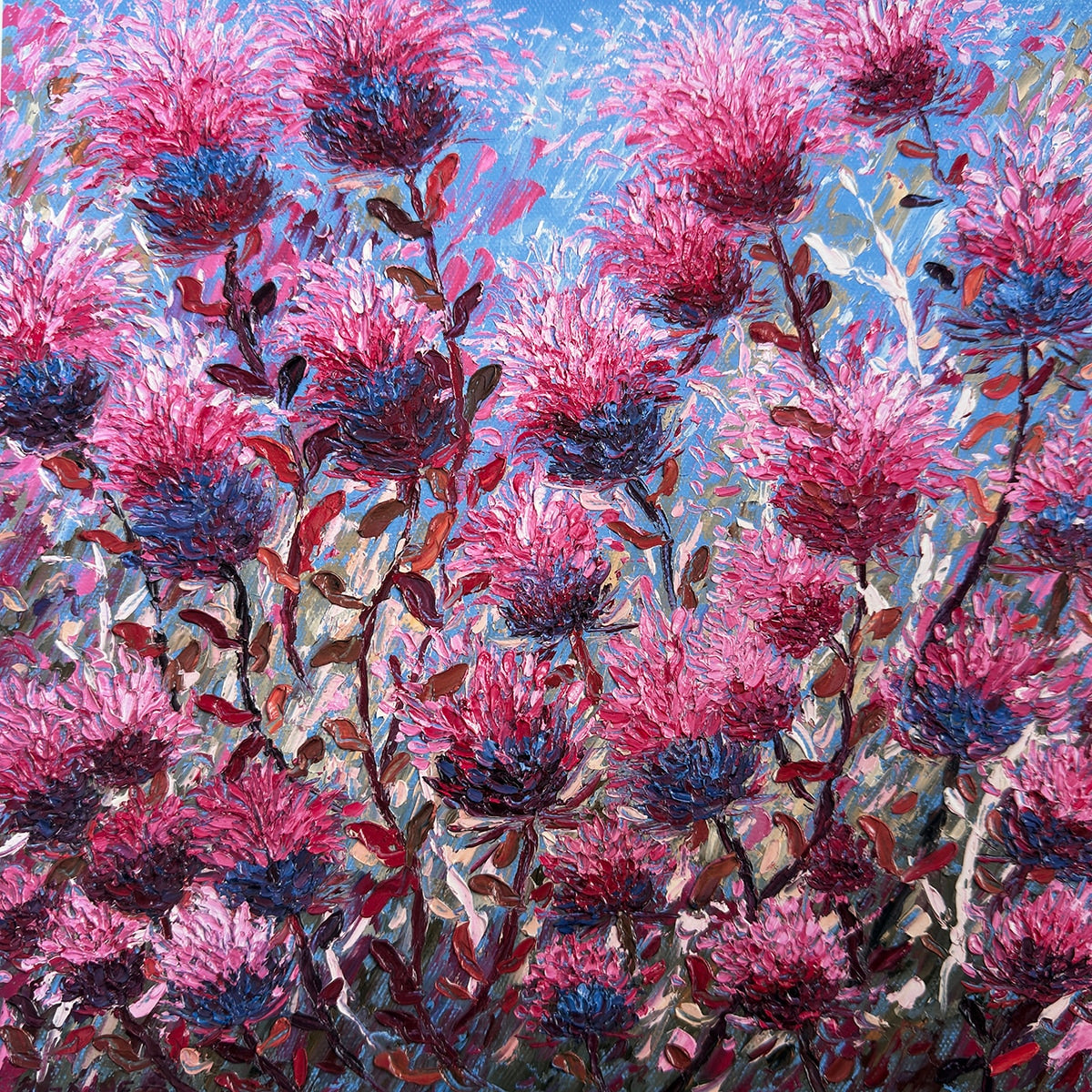 Scottish Thistles