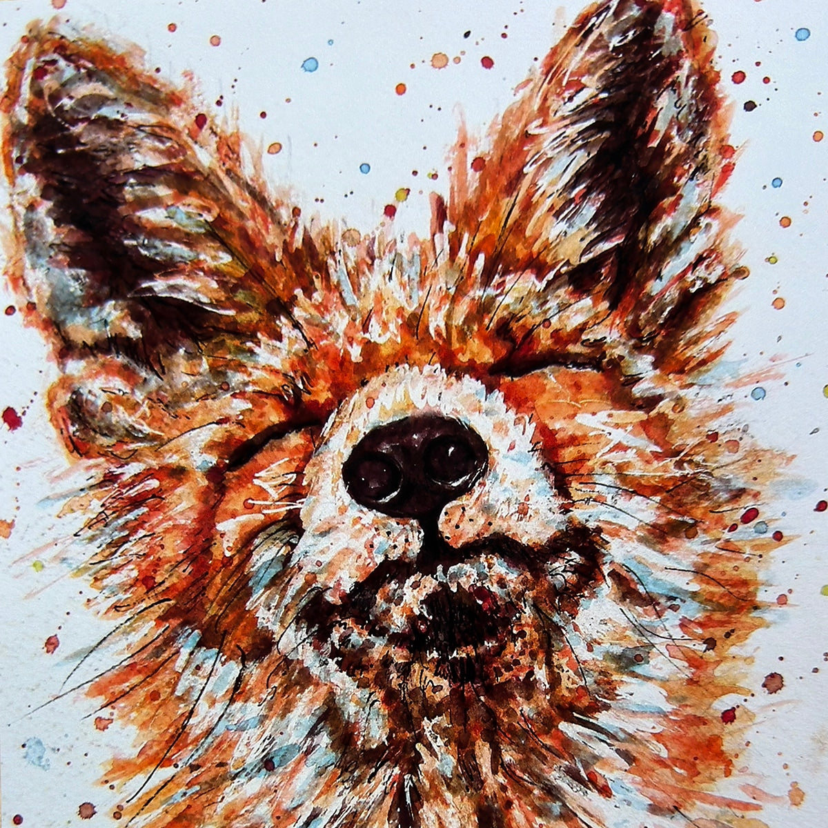 Sly Fox