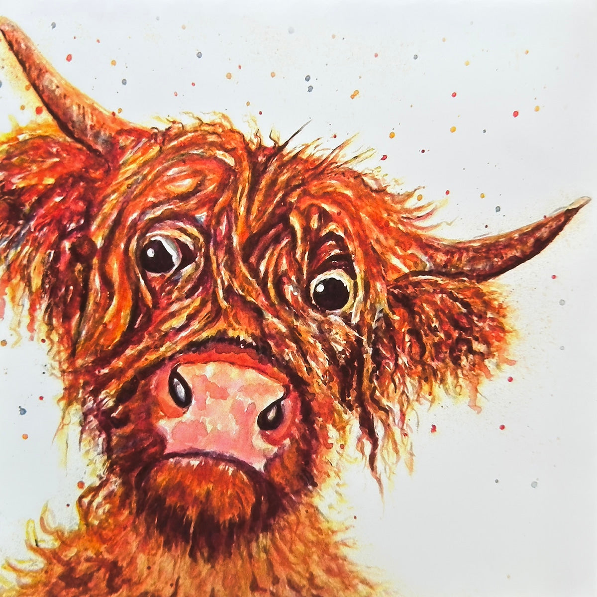 Toffee McCoo
