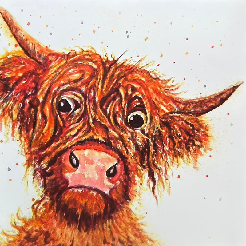 Toffee McCoo