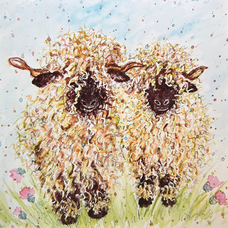Two Sheep