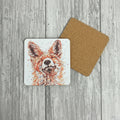 Sly Fox Coaster