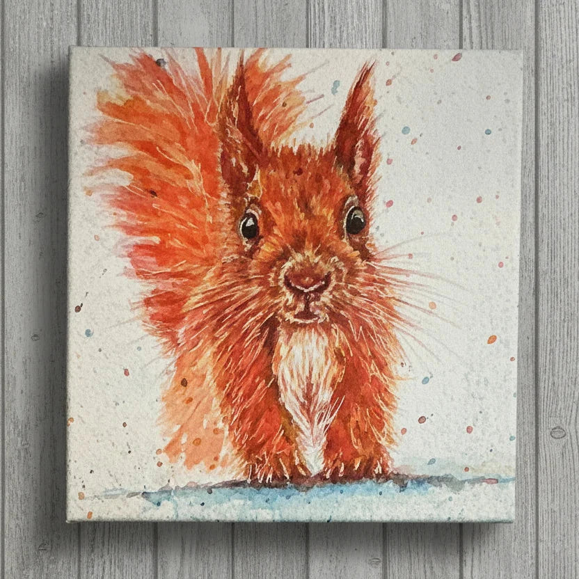 Red Squirrel Mini Canvas