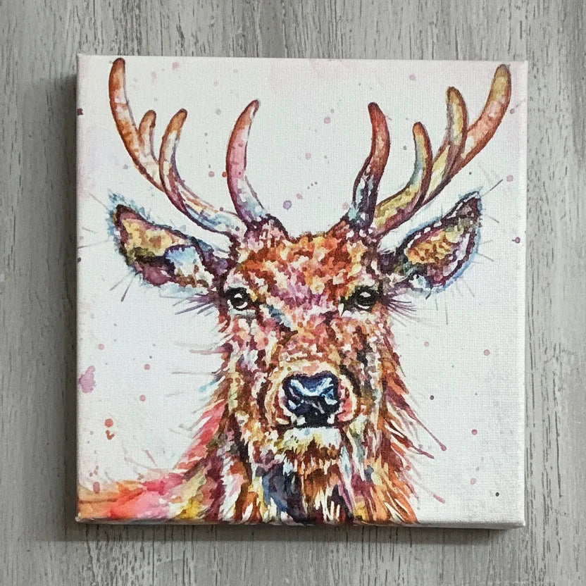 Rainbow Stag Mini Canvas