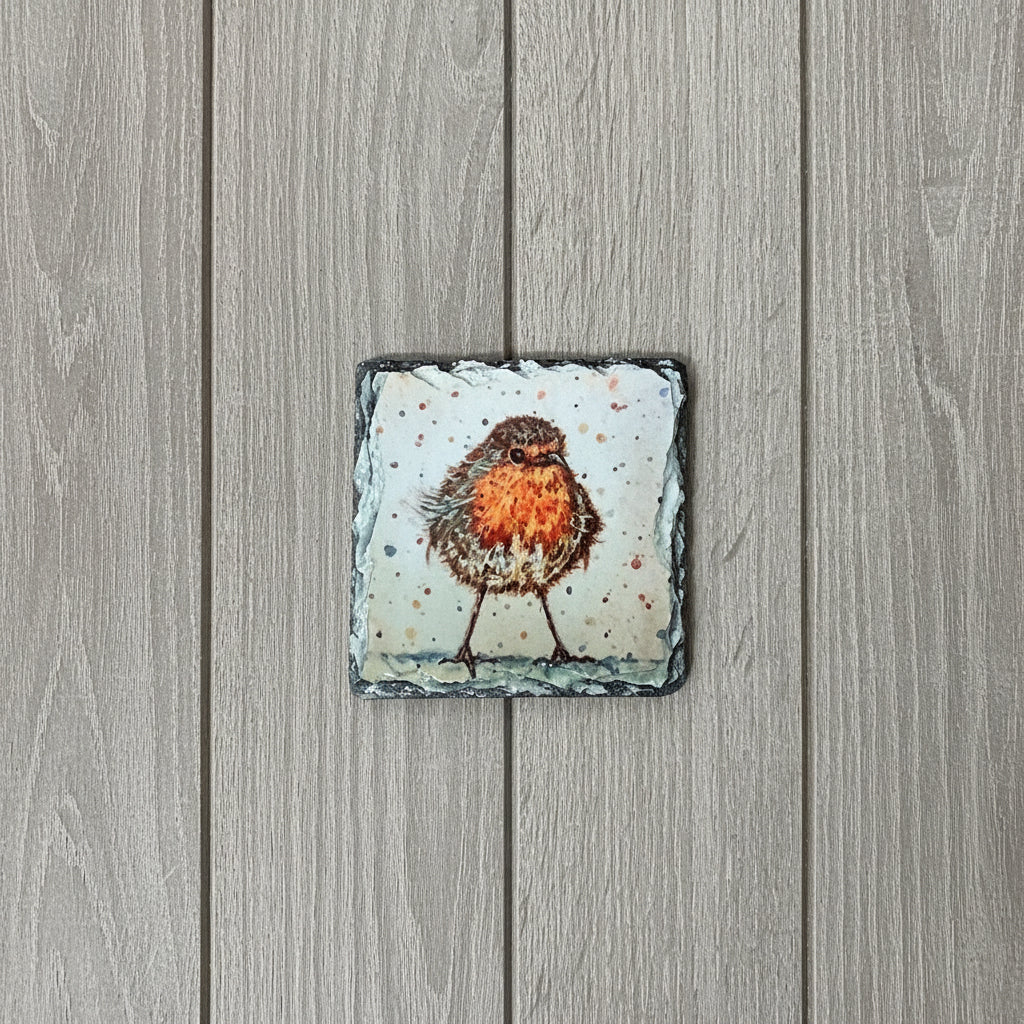 Rocking Robin Coaster