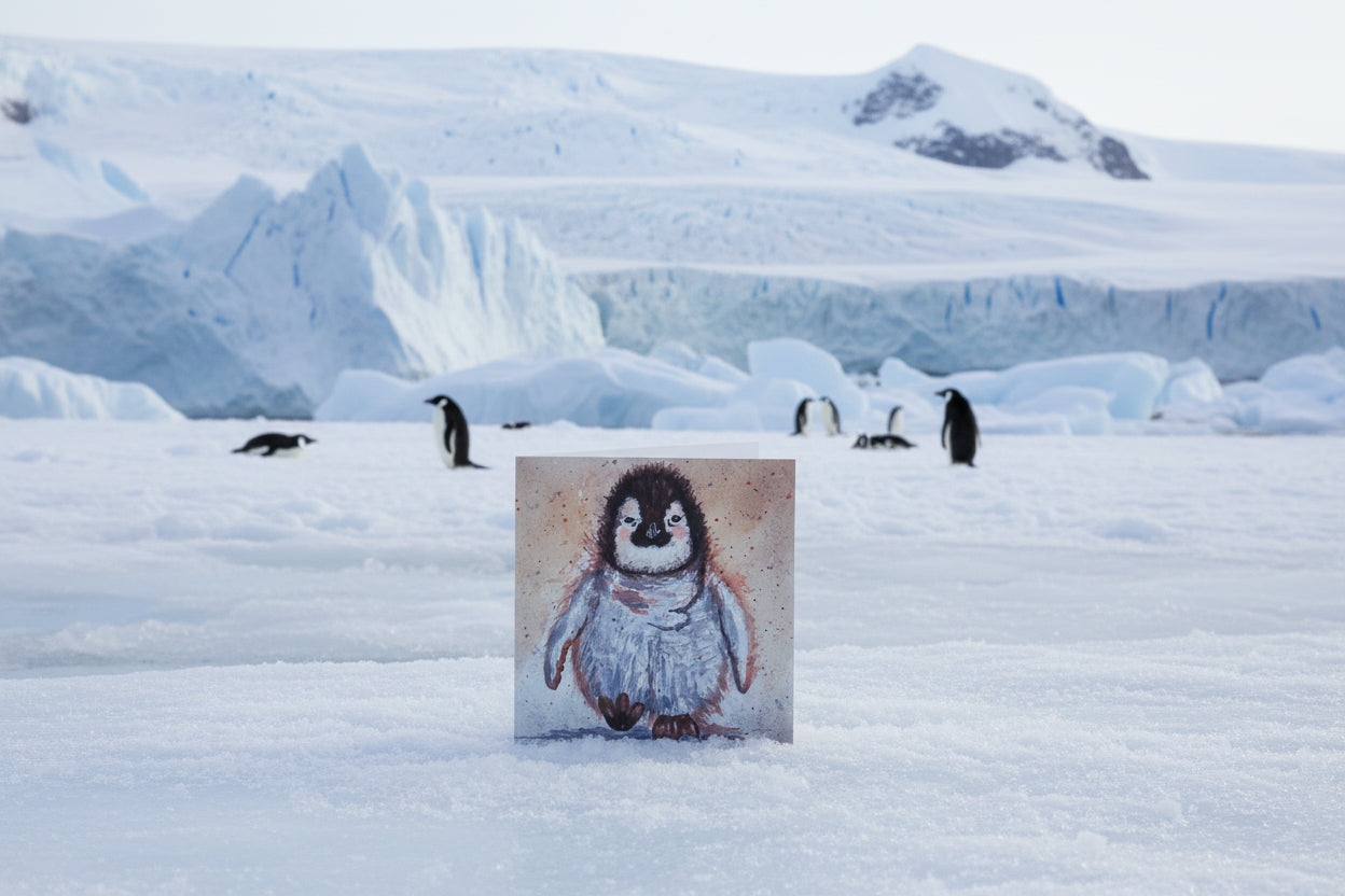 Penguin Greeting Card