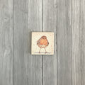 Rocking Robin Magnet