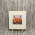 Nosy Cow Artwork Print