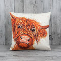 Toffee McCoo Cushion