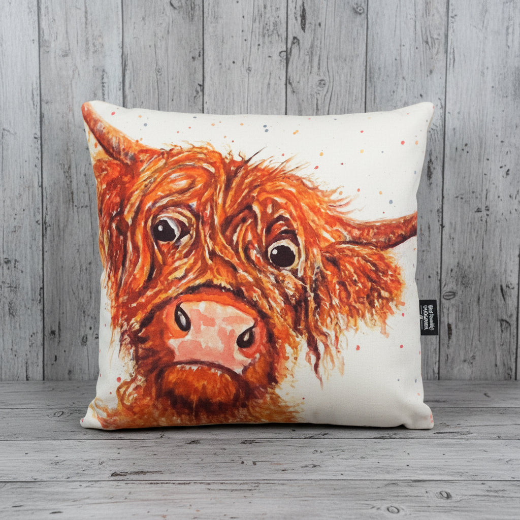 Toffee McCoo Cushion