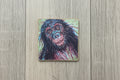 Cheeky Chimp Magnet