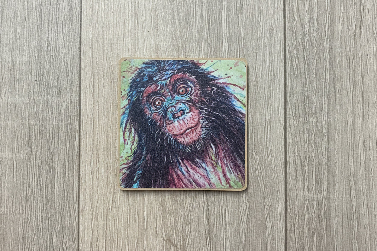 Cheeky Chimp Magnet