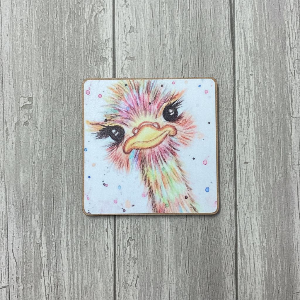 Rainbow Ostrich Magnet