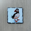 Puffin Coaster